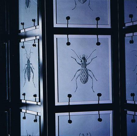 Screen detail